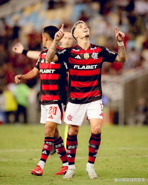 帕尔梅拉斯、弗拉门戈第5次在决赛相遇，此前4次各胜2场